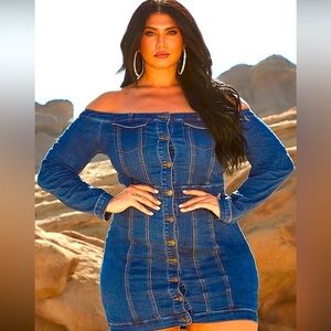 Fashion nova denim dress